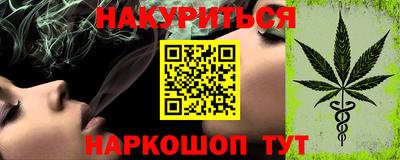 крисы Пенза