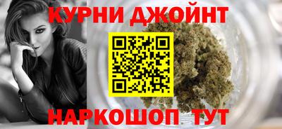 крисы Пенза