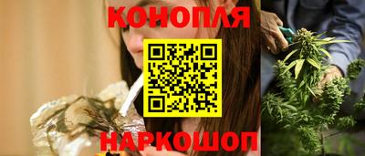 крисы Пенза