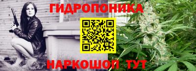 крисы Пенза