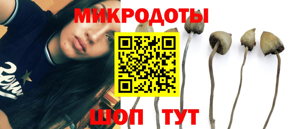 Галлюциногенные грибы мицелий  Вход с VPN  Ачинск 